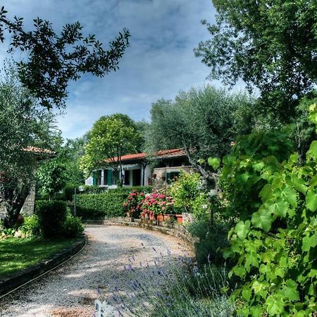 B&B Villa Mirami Saturnia Exteriér fotografie