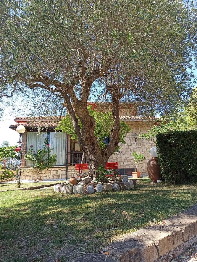 B&B Villa Mirami Saturnia Exteriér fotografie